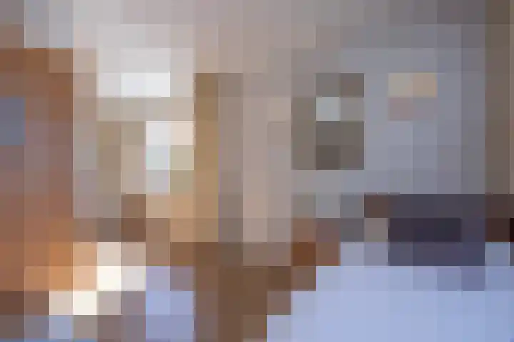 Driehoekweg 1 Haaren thumbnail 14