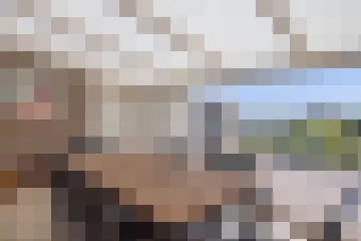 Driehoekweg 1 Haaren thumbnail 25