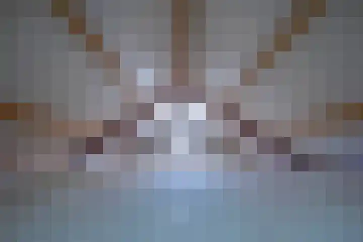 Driehoekweg 1 Haaren thumbnail 33