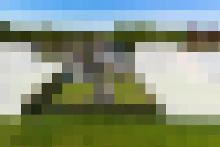 Driehoekweg 1 Haaren thumbnail 35
