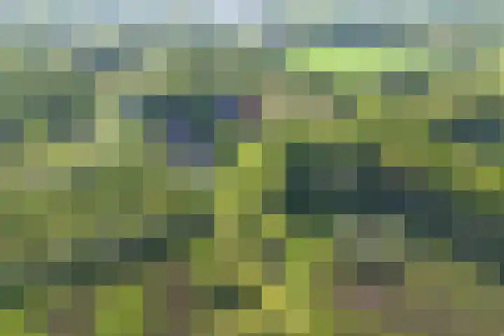 Driehoekweg 1 Haaren thumbnail 37