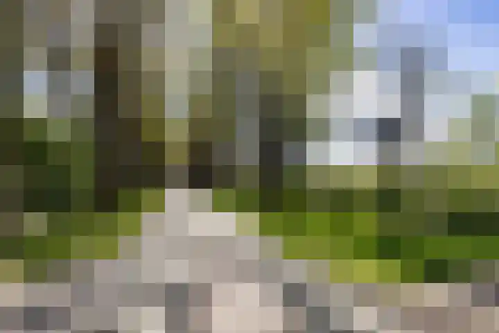 Driehoekweg 1 Haaren thumbnail 38