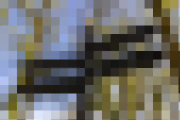 Driehoekweg 1 Haaren thumbnail 39