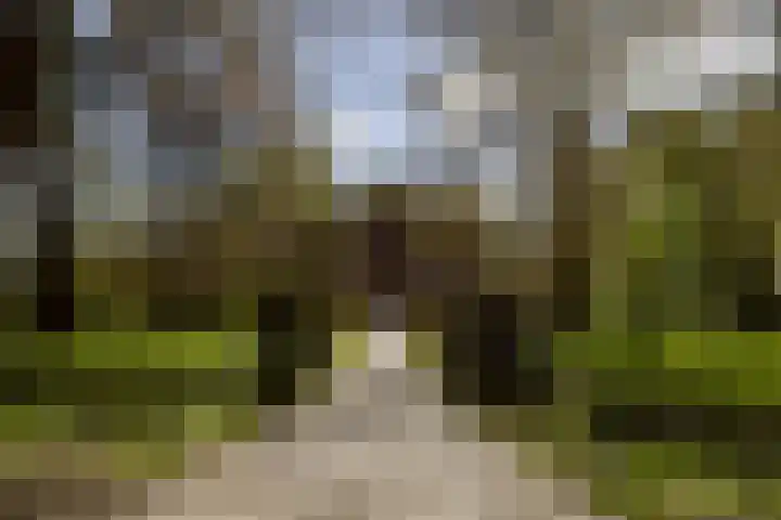 Driehoekweg 1 Haaren thumbnail 40