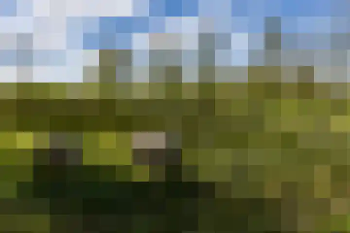 Driehoekweg 1 Haaren thumbnail 41