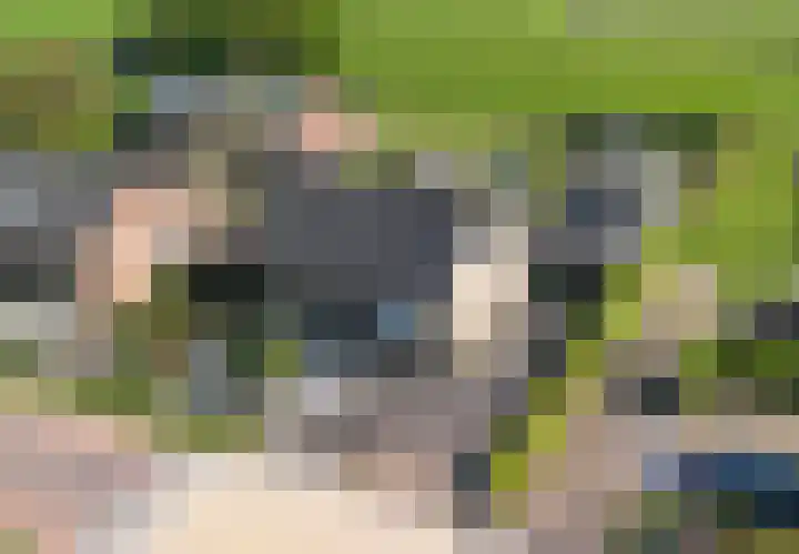 Driehoekweg 1 Haaren thumbnail 46