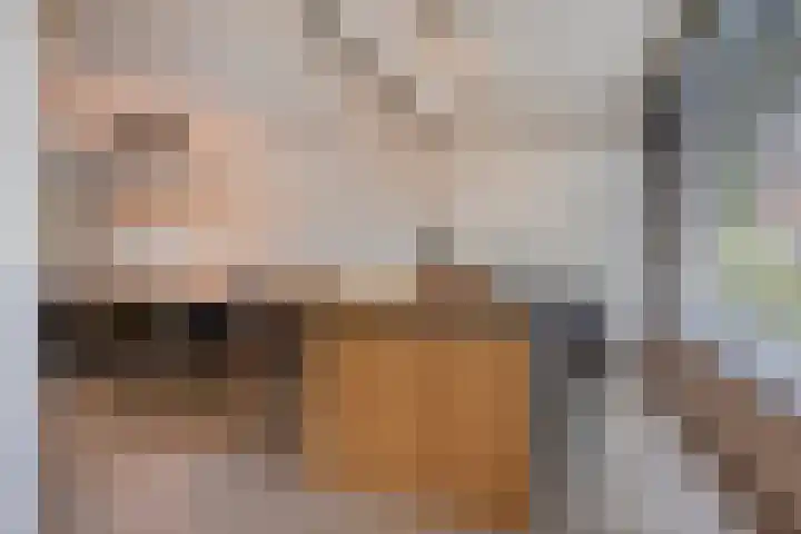 Driehoekweg 20 a Haaren thumbnail 12
