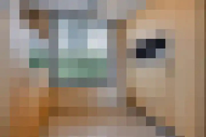 Driehoekweg 20 a Haaren thumbnail 15