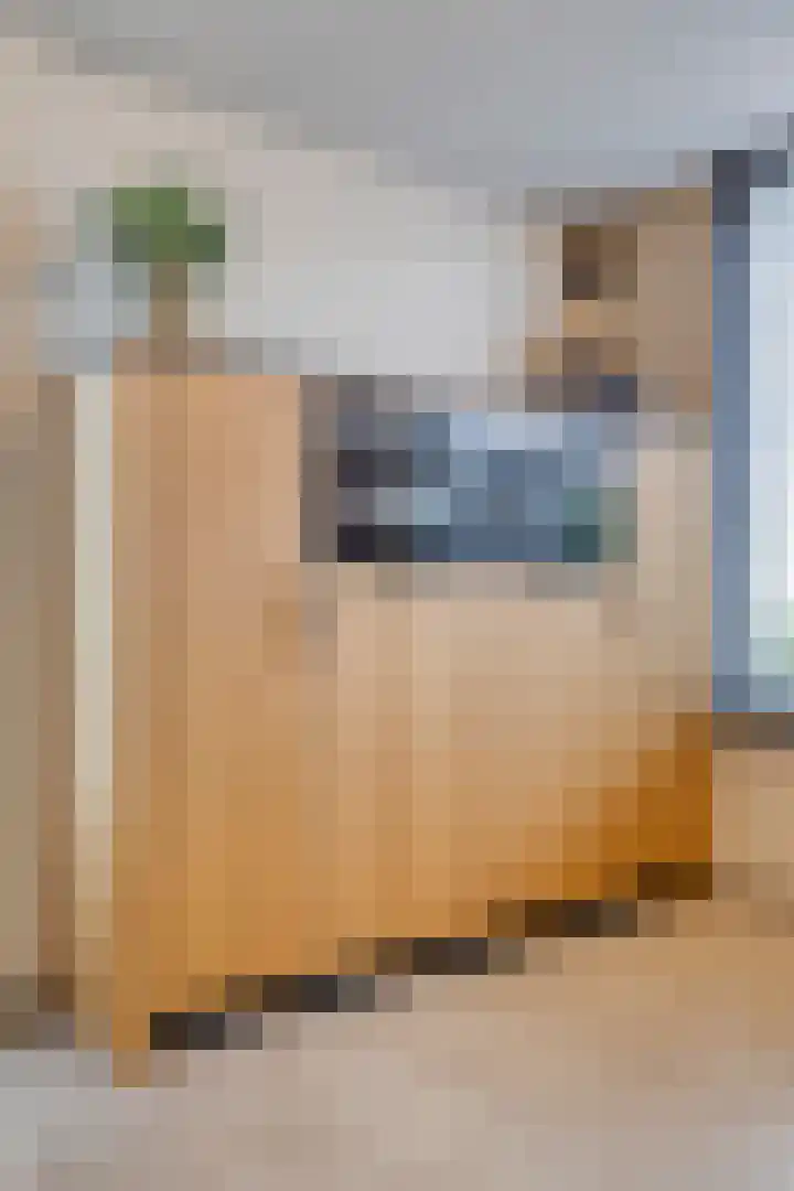 Driehoekweg 20 a Haaren thumbnail 23