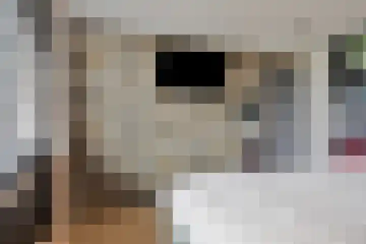 Driehoekweg 20 a Haaren thumbnail 25
