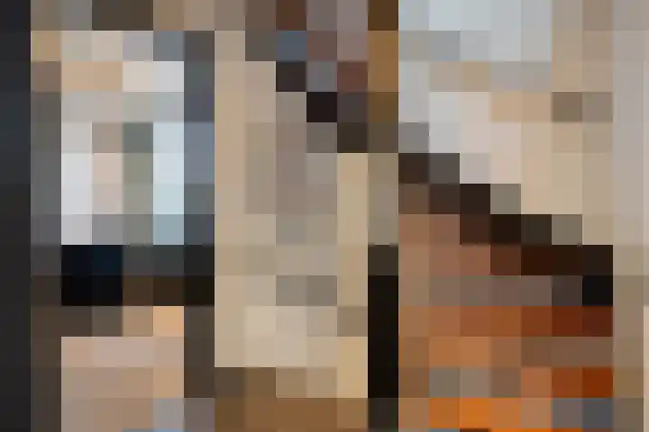 Driehoekweg 20 a Haaren thumbnail 30