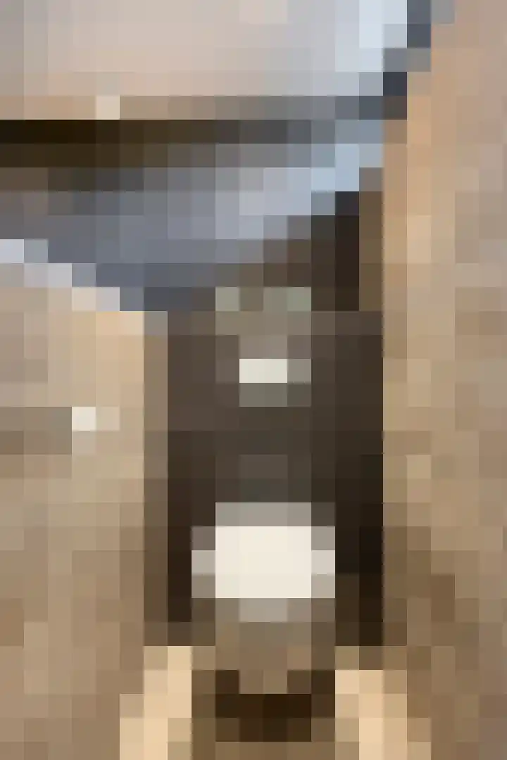 Driehoekweg 20 a Haaren thumbnail 32