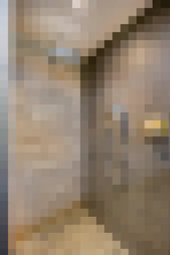 Driehoekweg 20 a Haaren thumbnail 33