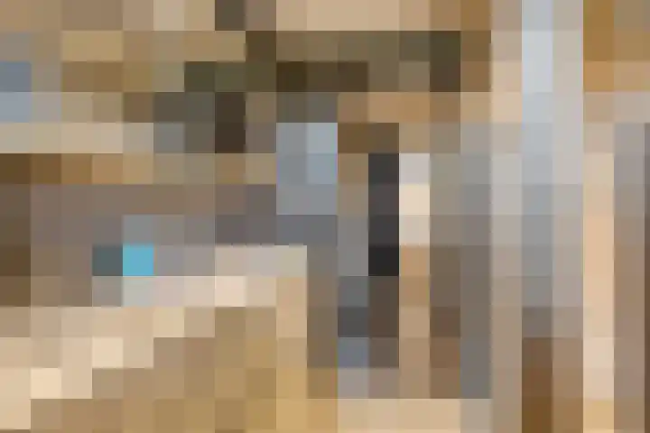 Driehoekweg 20 a Haaren thumbnail 34
