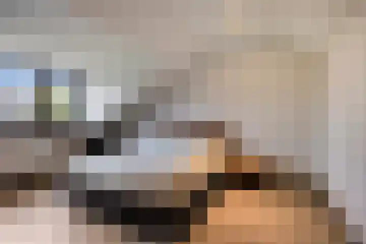 Driehoekweg 20 a Haaren thumbnail 36