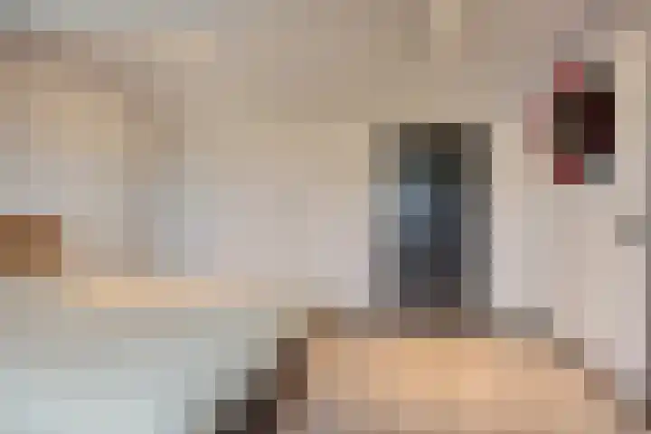 Driehoekweg 20 a Haaren thumbnail 37