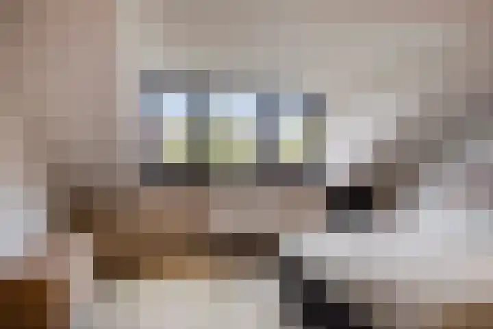 Driehoekweg 20 a Haaren thumbnail 38