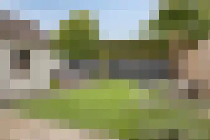 Driehoekweg 20 a Haaren thumbnail 42