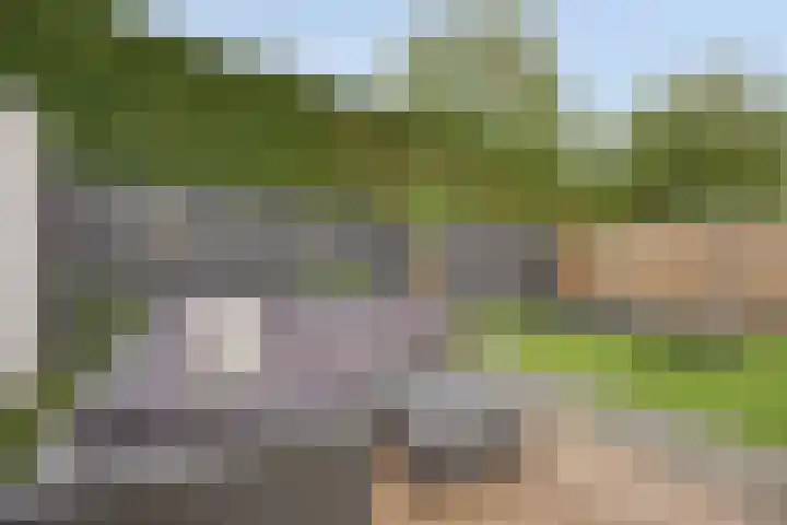 Driehoekweg 20 a Haaren thumbnail 45