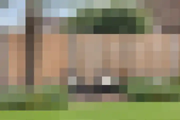 Driehoekweg 20 a Haaren thumbnail 46