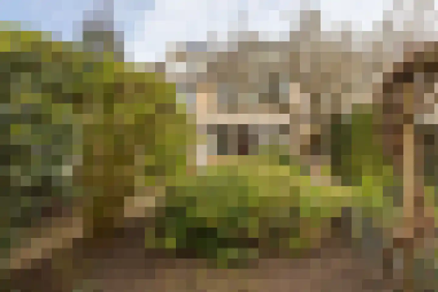 Driehovenlaan 86 Loenen aan de Vecht thumbnail 32