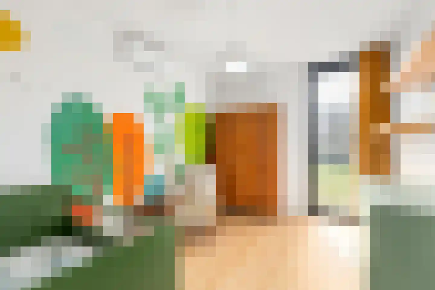 Driehuizen 101 Haskerdijken thumbnail 10