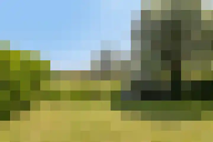 Driehuizen 15 Driehuizen thumbnail 39