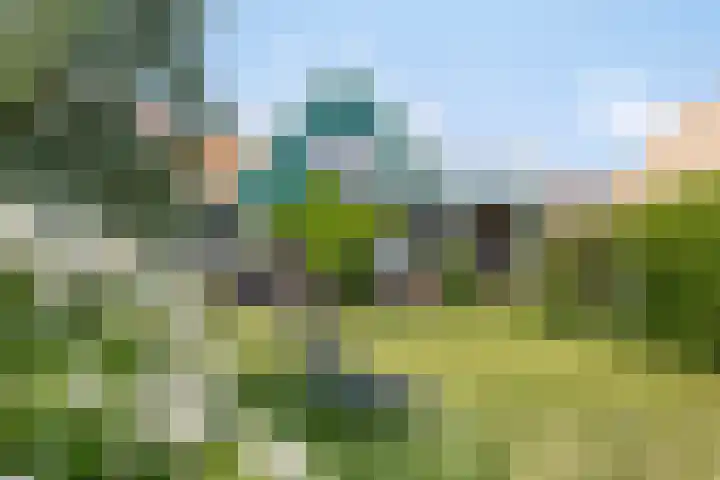 Driehuizen 15 Driehuizen thumbnail 41