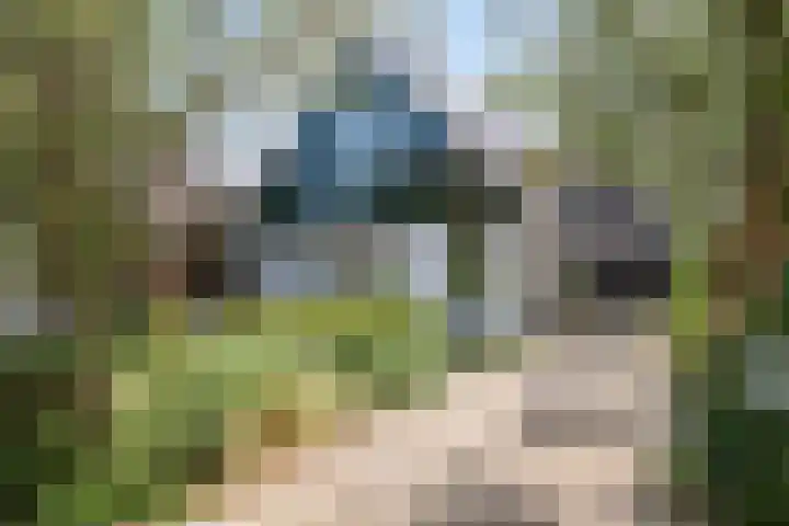 Driehuizen 15 Driehuizen thumbnail 44