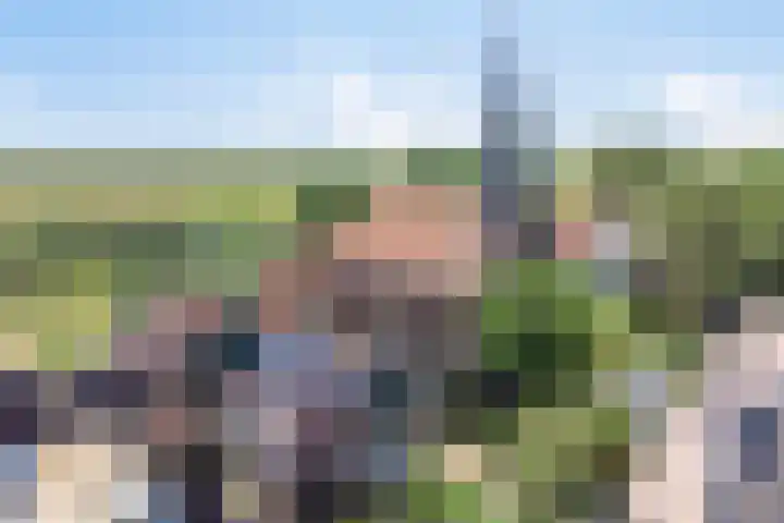 Driehuizen 15 Driehuizen thumbnail 45