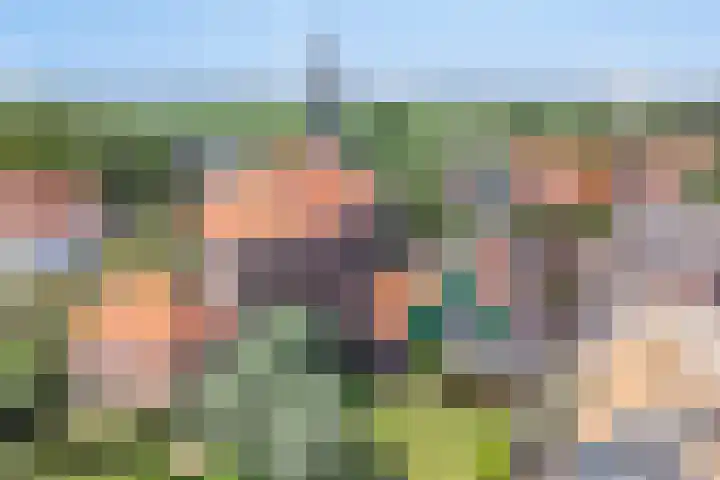 Driehuizen 15 Driehuizen thumbnail 48
