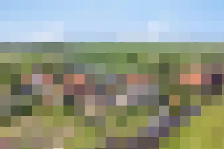Driehuizen 15 Driehuizen thumbnail 52