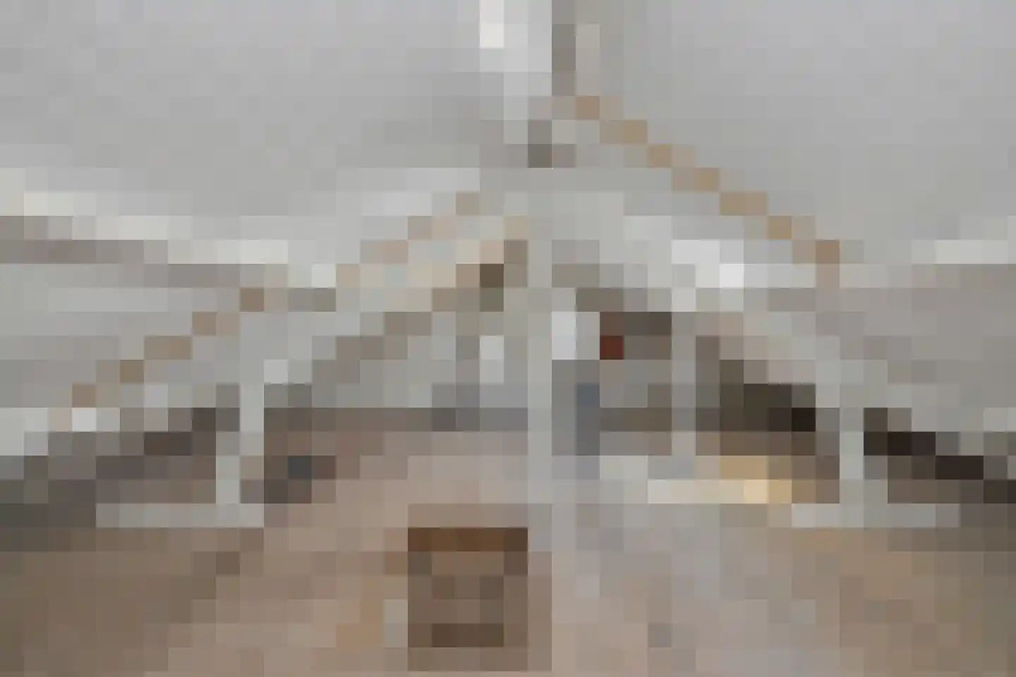 Driehuizen 21 Wervershoof thumbnail 35