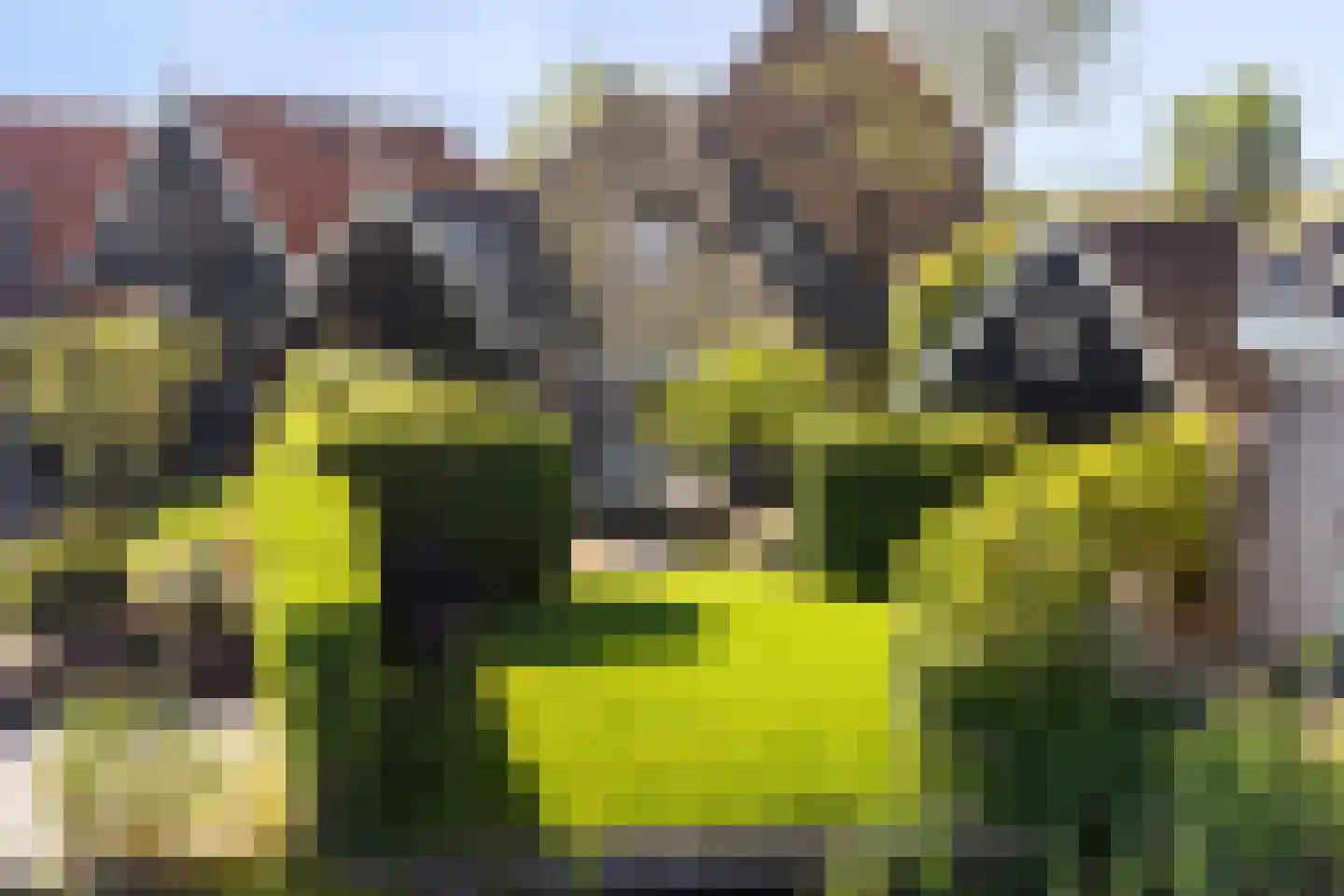 Driehuizen 34 Driehuizen thumbnail 41