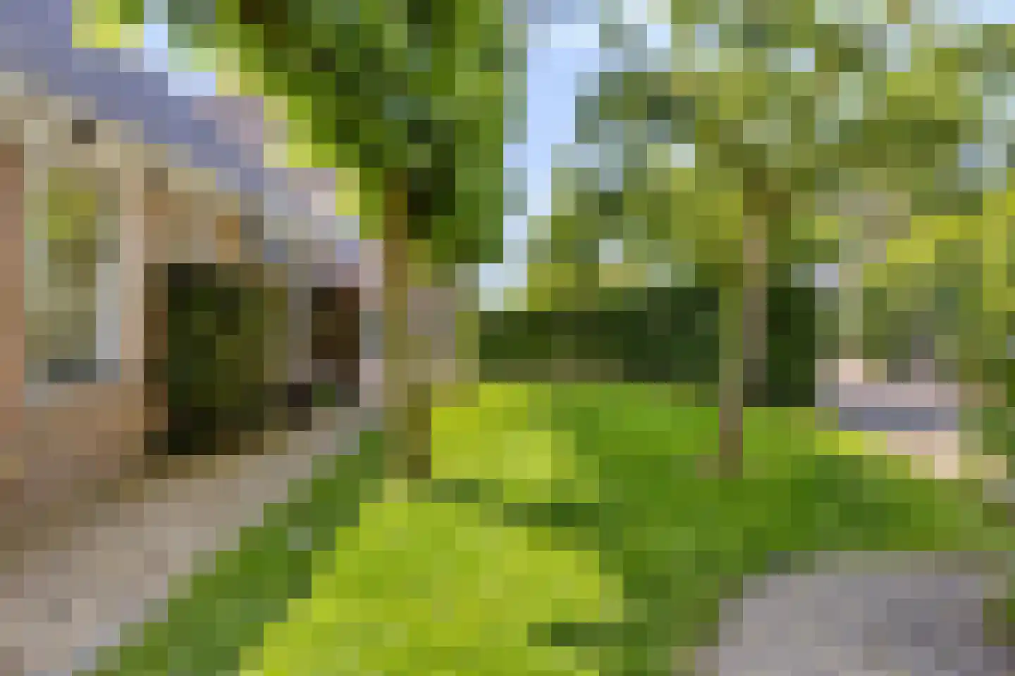 Driehuizen 34 Driehuizen thumbnail 43