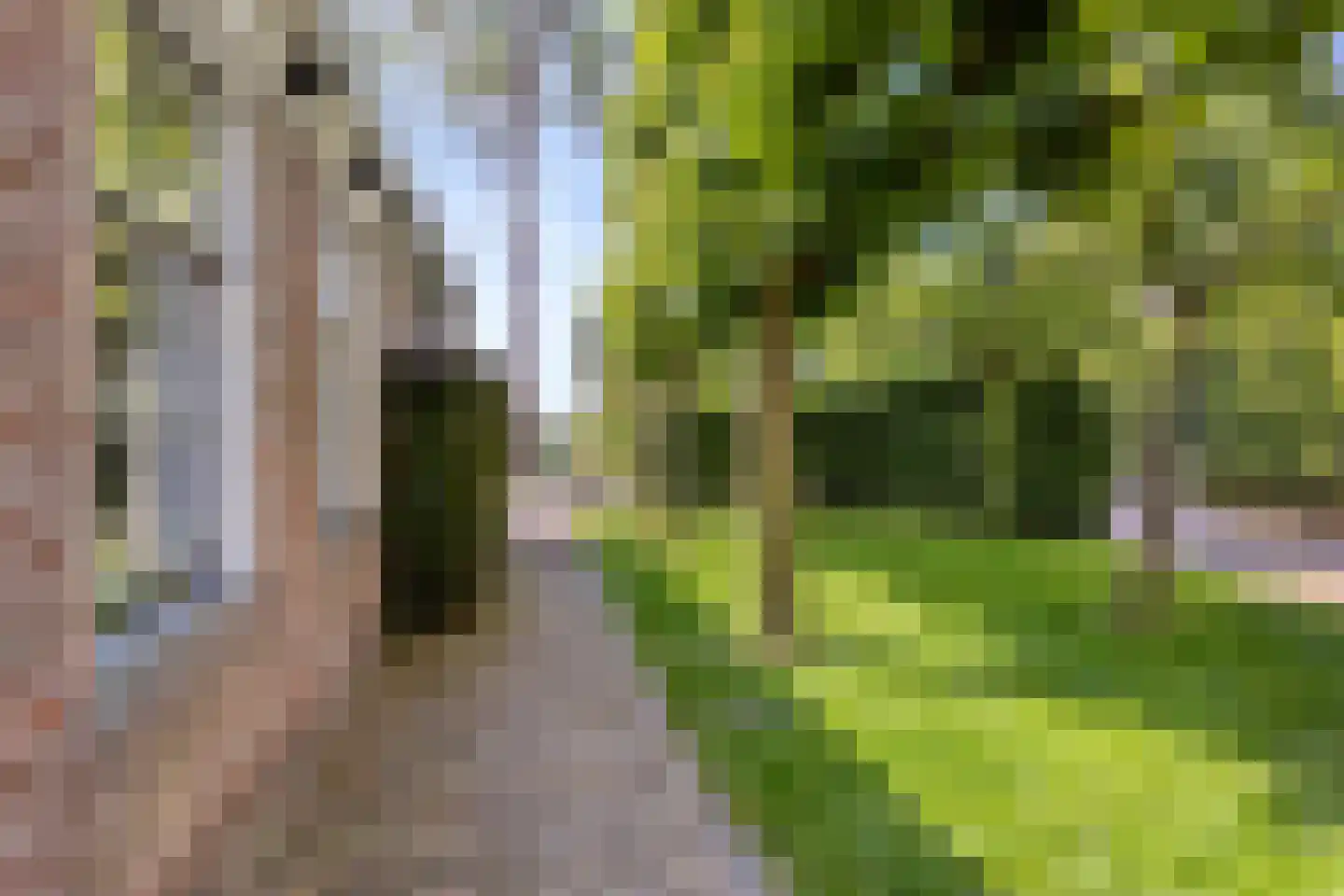 Driehuizen 34 Driehuizen thumbnail 44