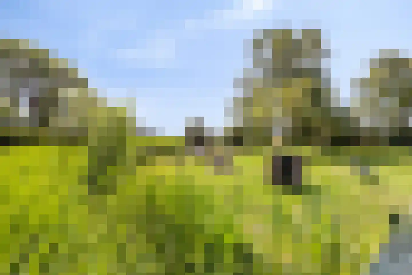 Driehuizen 34 Driehuizen thumbnail 60