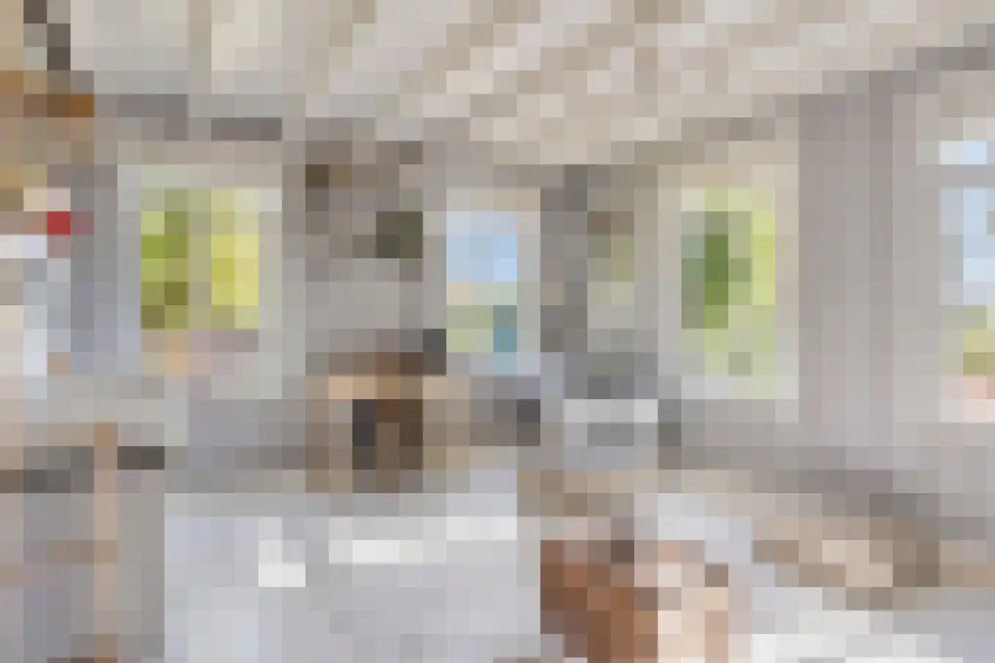 Driehuizen 7 Driehuizen thumbnail 18