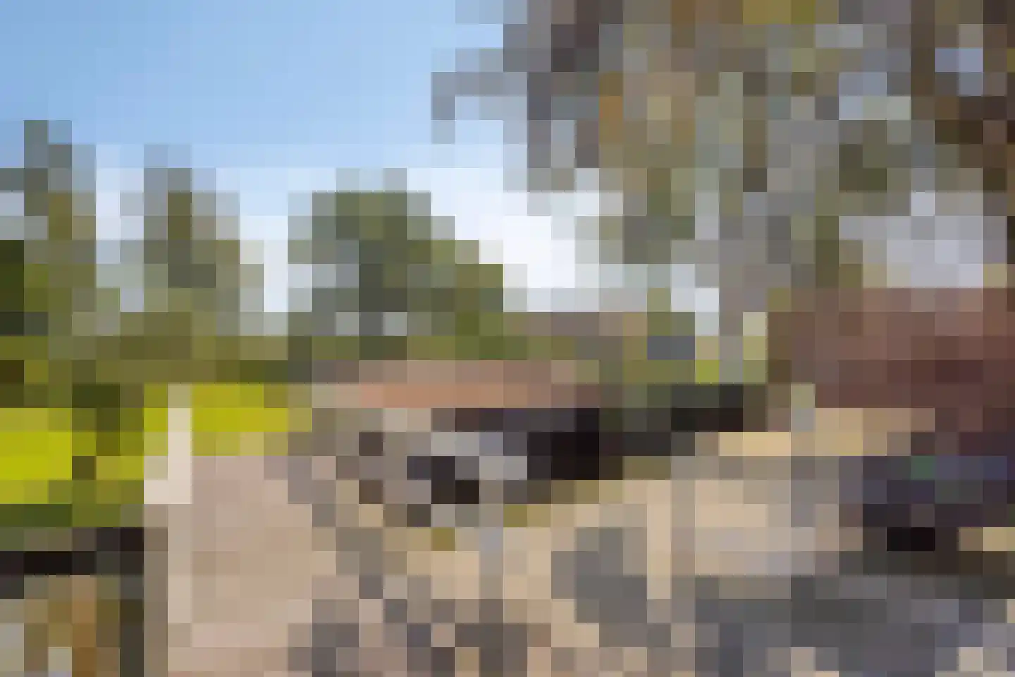 Driehuizen 7 Driehuizen thumbnail 41