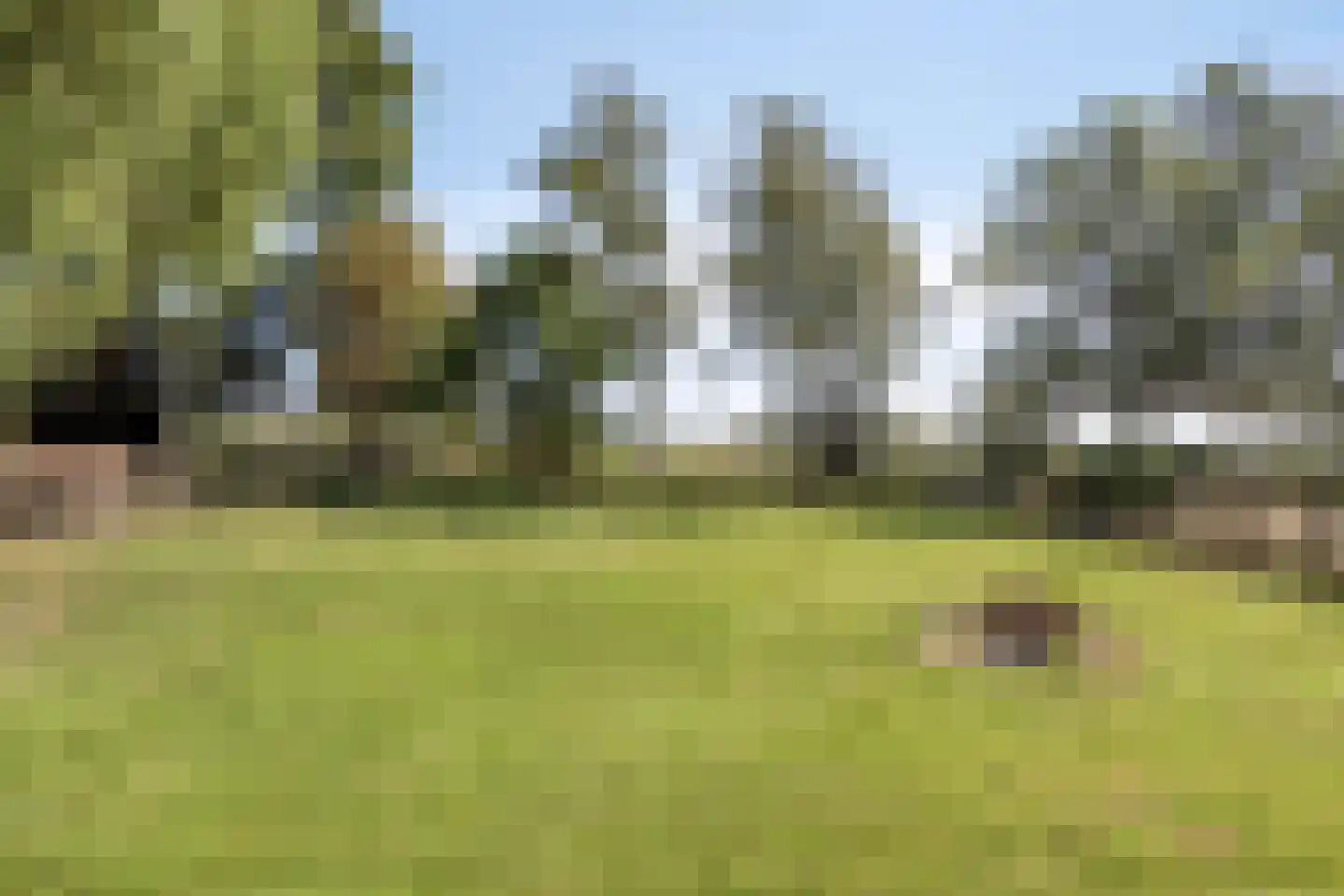 Driehuizen 7 Driehuizen thumbnail 42