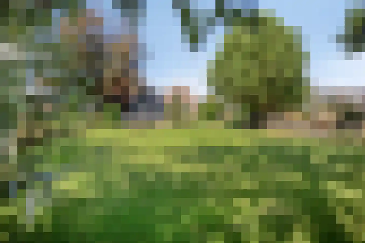 Driehuizen 7 Driehuizen thumbnail 43