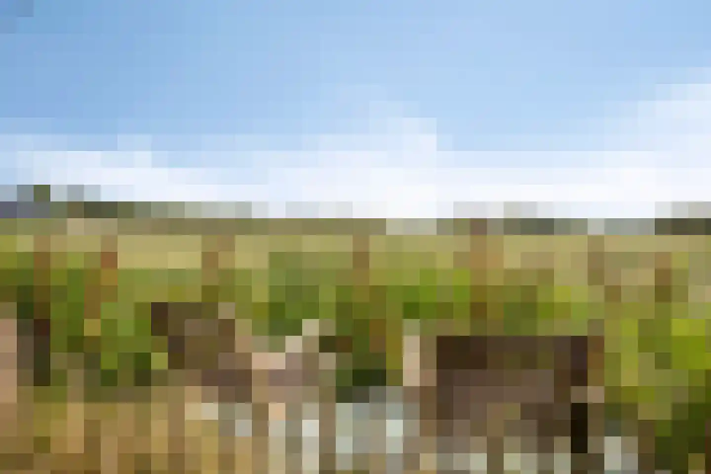 Driehuizen 7 Driehuizen thumbnail 44