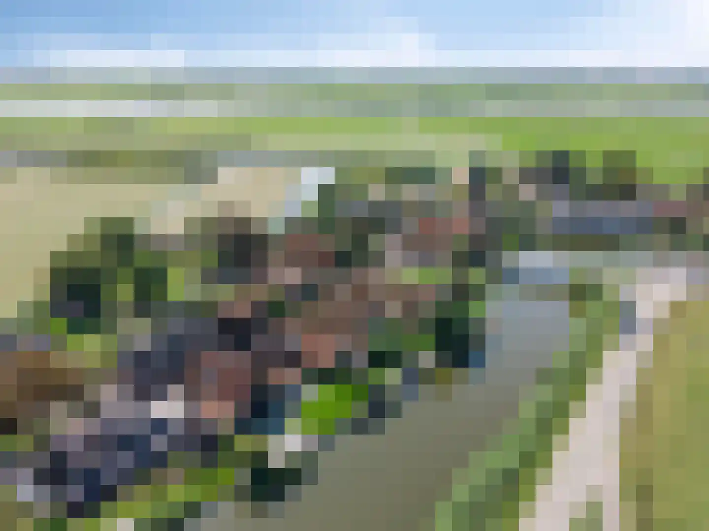 Driehuizen 7 Driehuizen thumbnail 49