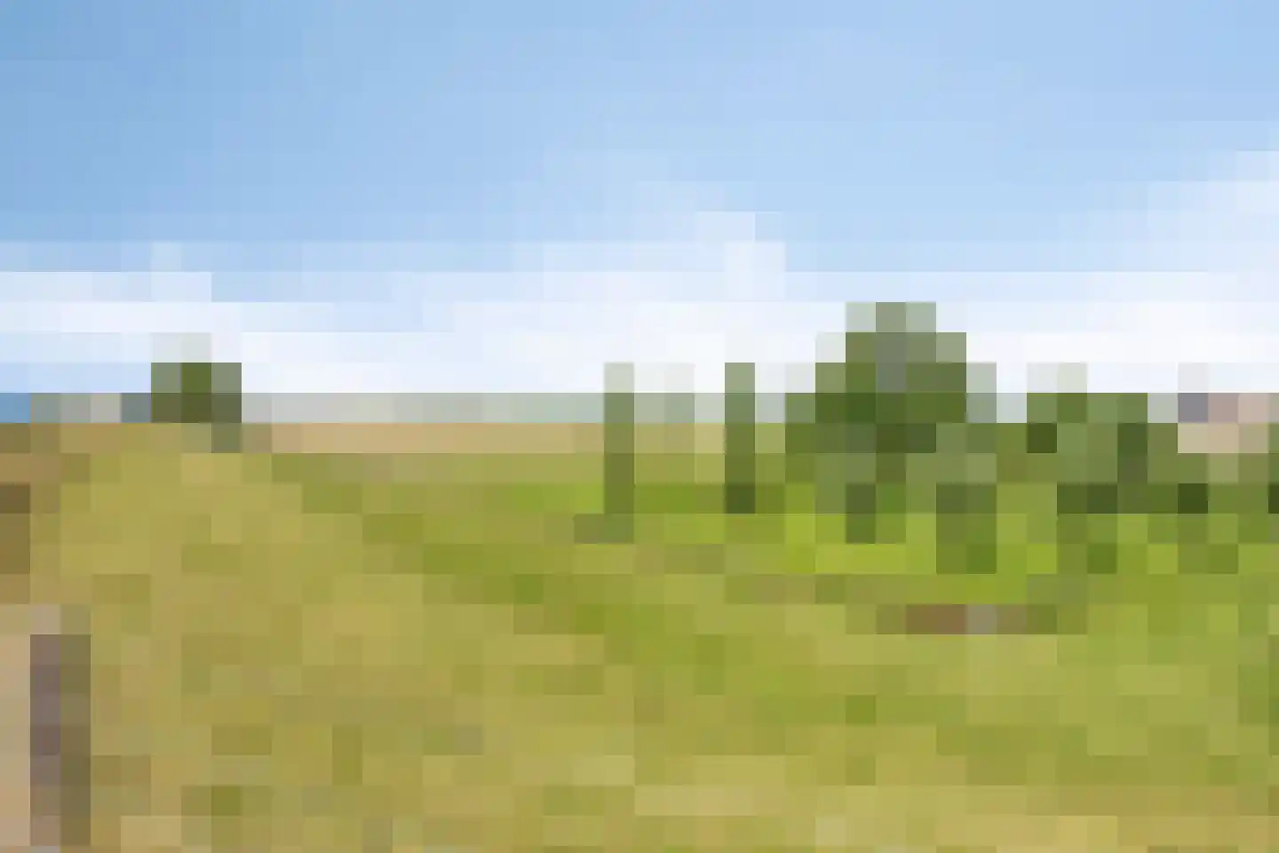 Driehuizen 7 Driehuizen thumbnail 54
