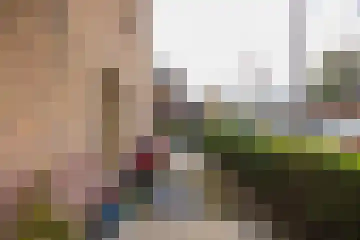 Driehuizenpark 21 Lisse thumbnail 16