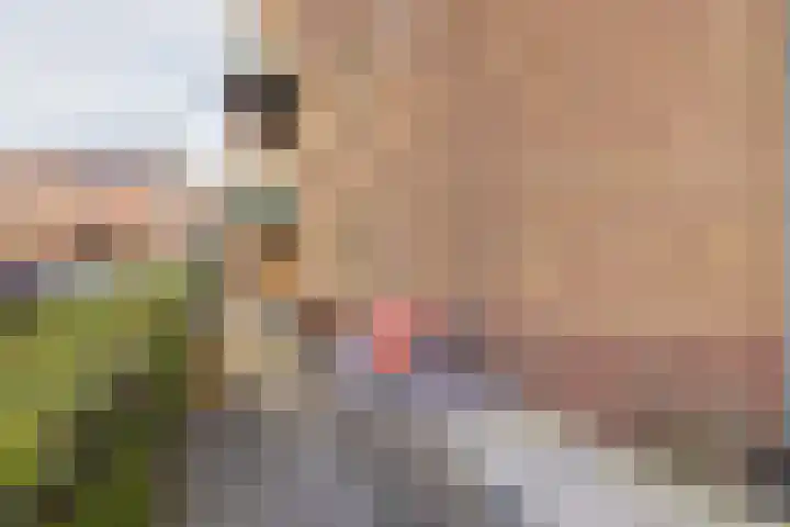 Driehuizenpark 21 Lisse thumbnail 17