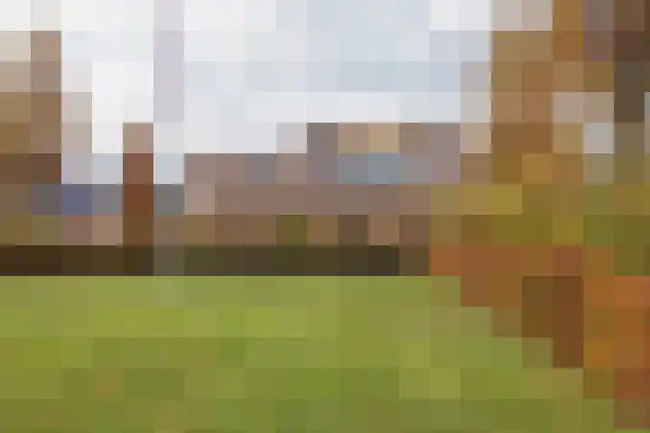 Driehuizenpark 21 Lisse thumbnail 45