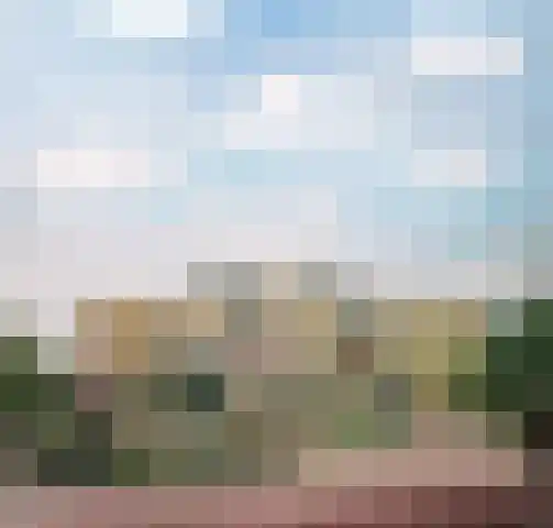Driehuizenpark 31 Lisse thumbnail 26