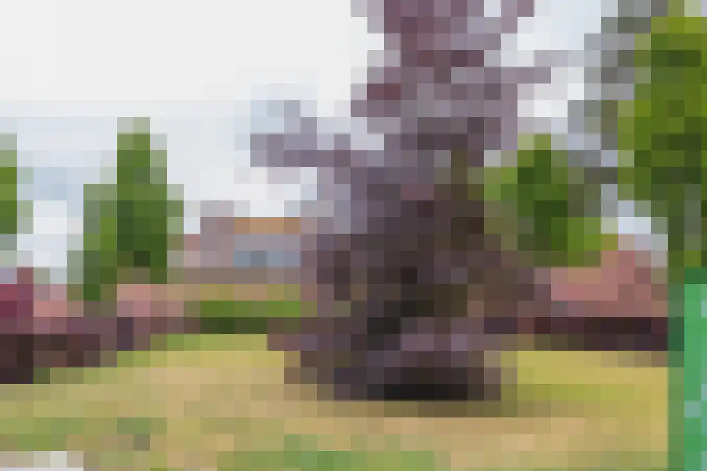 Driehuizenpark 35 Lisse thumbnail 34