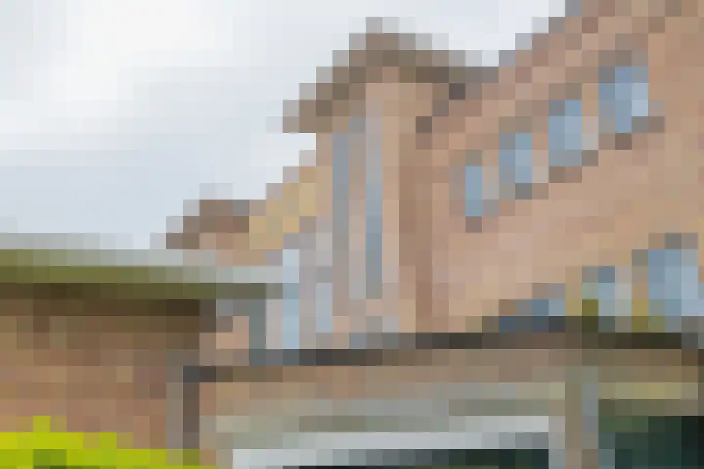 Driehuizenpark 35 Lisse thumbnail 36